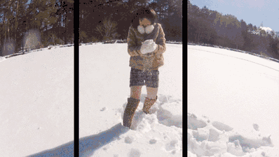 壁纸 动物 狗 狗狗 398_225 gif 动态图 动图
